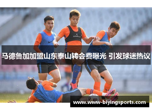 马德鲁加加盟山东泰山转会费曝光 引发球迷热议